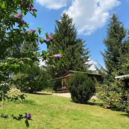Waldfrieden Apartment *